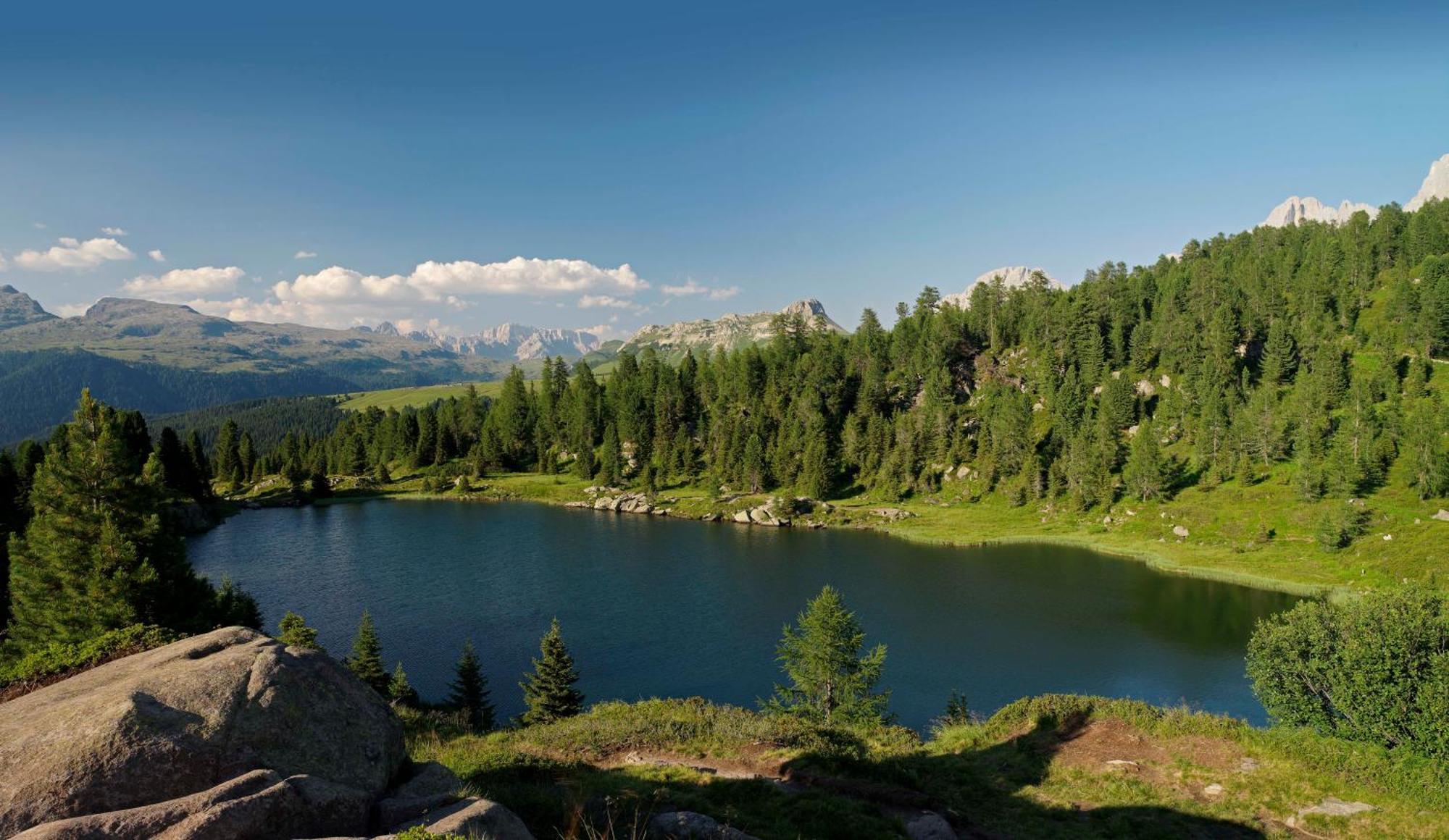 Aparthotel Wellness Villa Di Bosco Tesero Exteriér fotografie